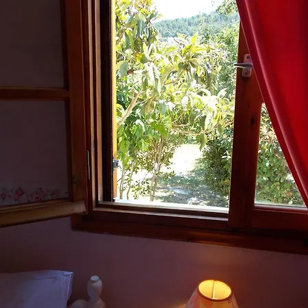 Apartamento Irene *