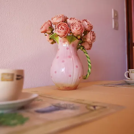Irene Apartamento *